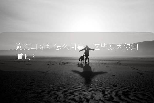 狗狗耳朵紅怎么回事，這些原因你知道嗎？