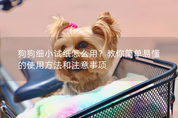 狗狗細小試紙怎么用？教你簡單易懂的使用方法和注意事項