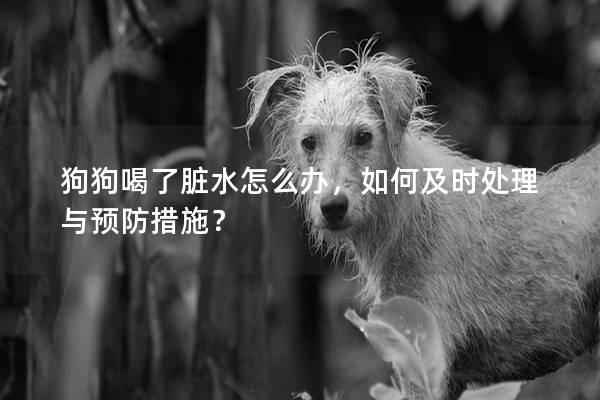 狗狗喝了臟水怎么辦，如何及時(shí)處理與預(yù)防措施？