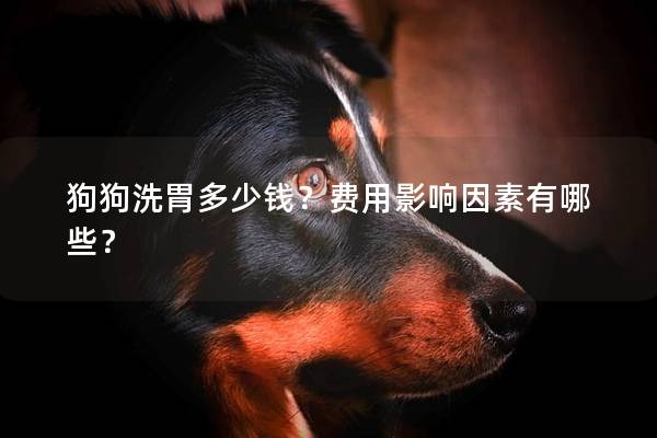 狗狗洗胃多少錢？費用影響因素有哪些？