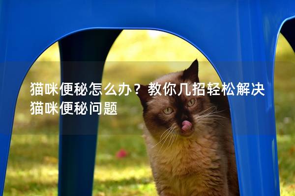 貓咪便秘怎么辦？教你幾招輕松解決貓咪便秘問題