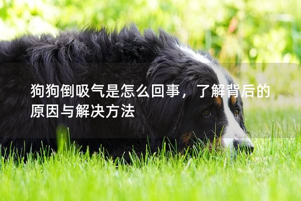 狗狗倒吸氣是怎么回事，了解背后的原因與解決方法