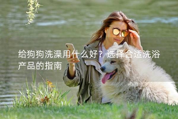 給狗狗洗澡用什么好？選擇合適洗浴產品的指南