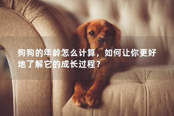 狗狗的年齡怎么計(jì)算，如何讓你更好地了解它的成長(zhǎng)過程？