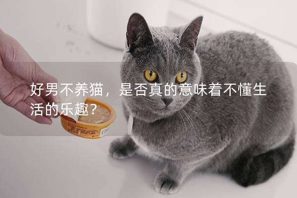 好男不養貓，是否真的意味著不懂生活的樂趣？