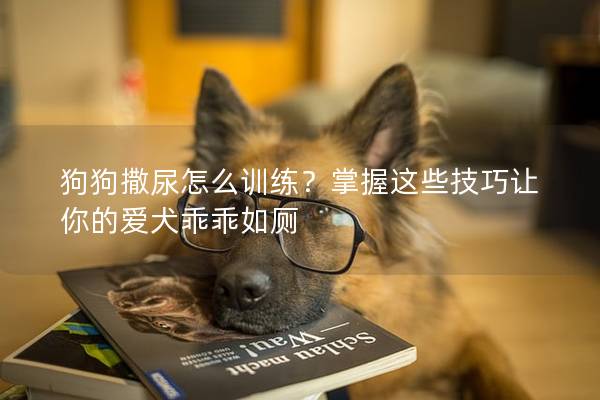 狗狗撒尿怎么訓練？掌握這些技巧讓你的愛犬乖乖如廁