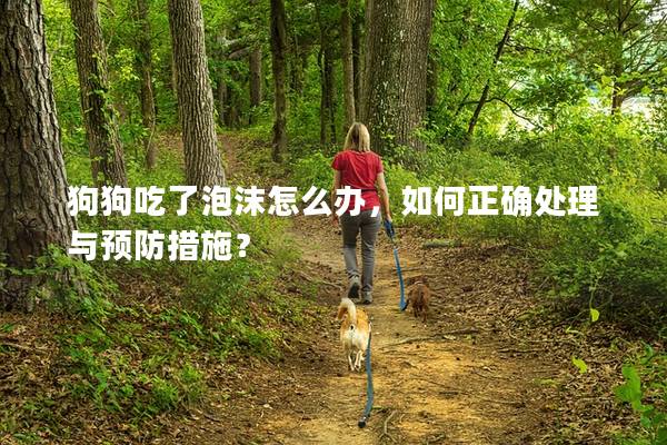 狗狗吃了泡沫怎么辦，如何正確處理與預防措施？