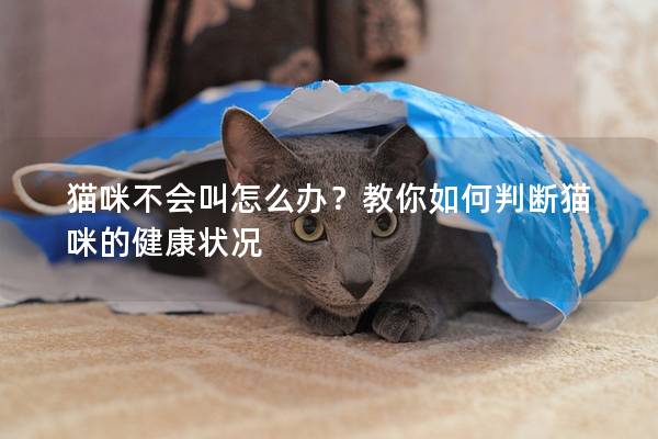 貓咪不會(huì)叫怎么辦？教你如何判斷貓咪的健康狀況