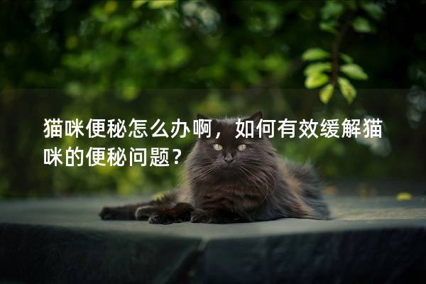 貓咪便秘怎么辦啊，如何有效緩解貓咪的便秘問題？