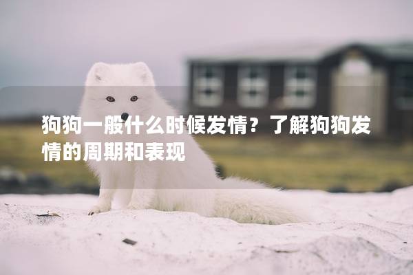 狗狗一般什么時候發情？了解狗狗發情的周期和表現