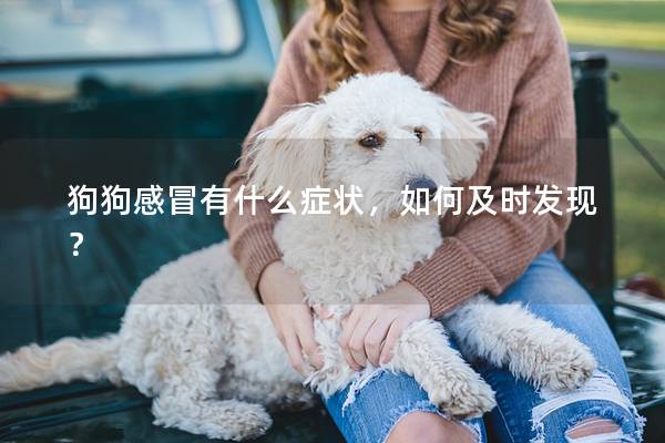 狗狗感冒有什么癥狀,如何及時發現? 狗狗感冒有什么癥狀,如何及時發現?