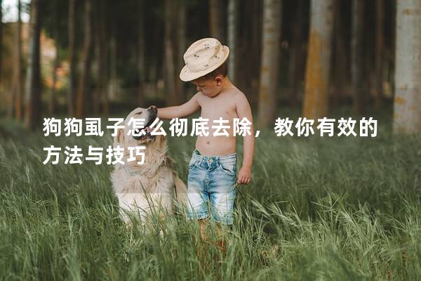 狗狗虱子怎么徹底去除，教你有效的方法與技巧