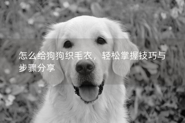 怎么給狗狗織毛衣，輕松掌握技巧與步驟分享