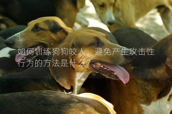 如何訓練狗狗咬人，避免產生攻擊性行為的方法是什么？