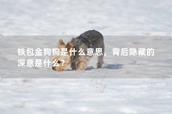 鐵包金狗狗是什么意思，背后隱藏的深意是什么？