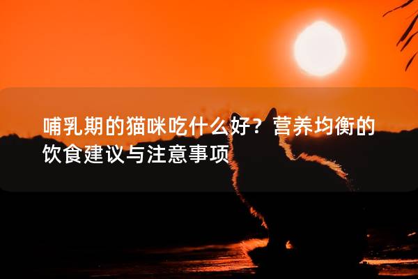 哺乳期的貓咪吃什么好？營養均衡的飲食建議與注意事項