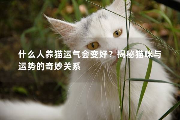 什么人養(yǎng)貓運氣會變好?揭秘貓咪與運勢的奇妙關系 什么人養(yǎng)貓運氣會變好?揭秘貓咪與運勢的奇妙關系