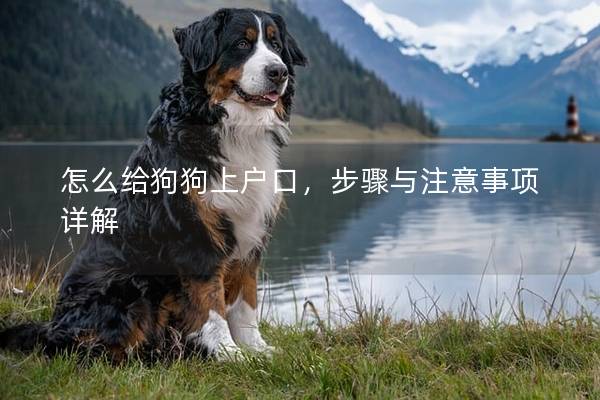怎么給狗狗上戶口，步驟與注意事項詳解