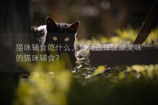 貓咪輔食吃什么，如何選擇健康美味的貓咪輔食？