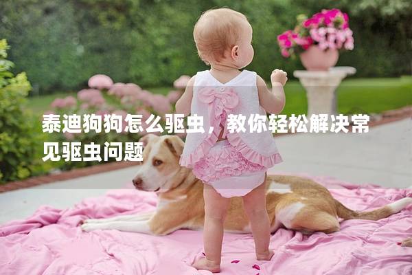 泰迪狗狗怎么驅(qū)蟲，教你輕松解決常見驅(qū)蟲問題