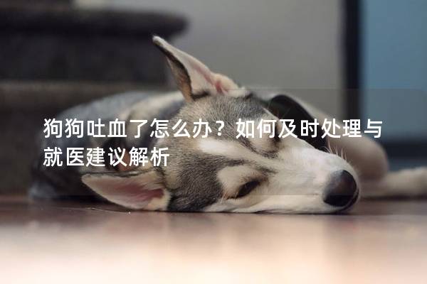 狗狗吐血了怎么辦？如何及時處理與就醫(yī)建議解析