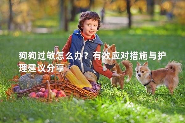 狗狗過敏怎么辦？有效應(yīng)對措施與護(hù)理建議分享