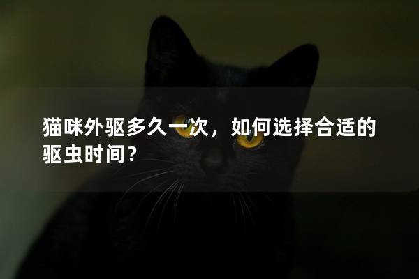 貓咪外驅多久一次，如何選擇合適的驅蟲時間？