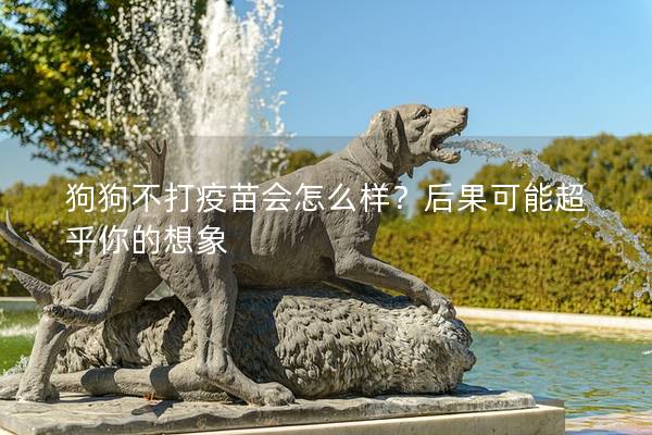 狗狗不打疫苗會(huì)怎么樣？后果可能超乎你的想象
