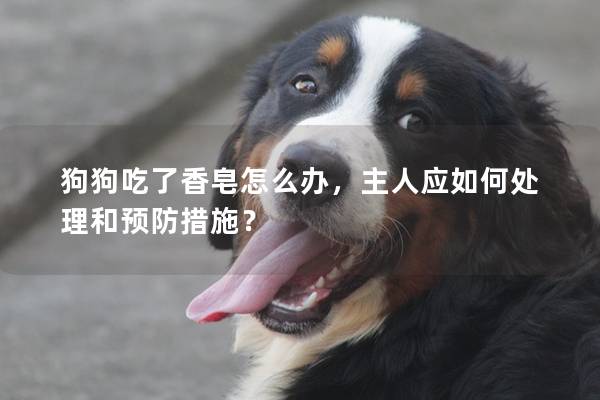 狗狗吃了香皂怎么辦，主人應如何處理和預防措施？