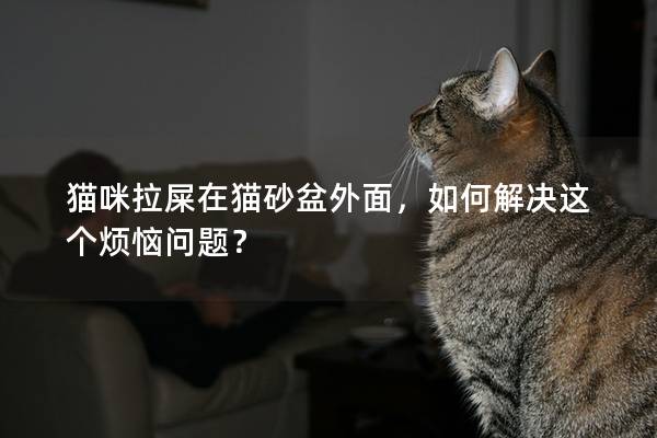 貓咪拉屎在貓砂盆外面，如何解決這個(gè)煩惱問題？