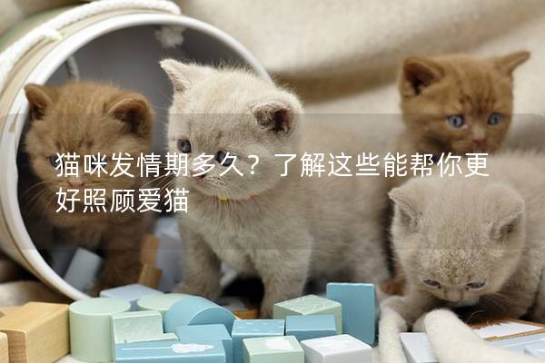 貓咪發情期多久？了解這些能幫你更好照顧愛貓