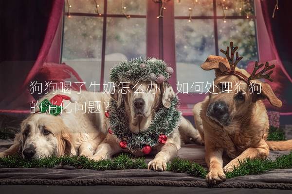 狗狗喝了牛奶怎么辦，如何處理狗狗的消化問題？