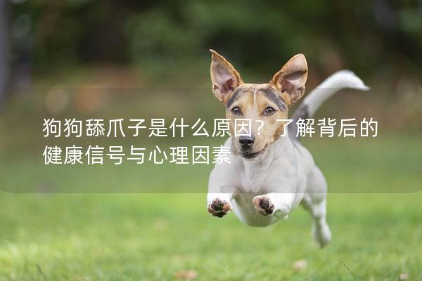 狗狗舔爪子是什么原因？了解背后的健康信號與心理因素