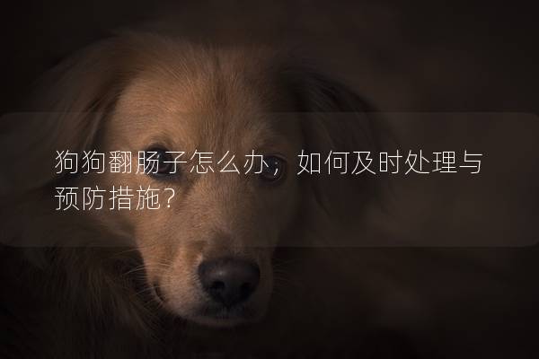 狗狗翻腸子怎么辦，如何及時處理與預防措施？