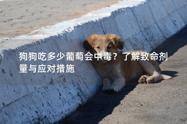 狗狗吃多少葡萄會中毒？了解致命劑量與應對措施