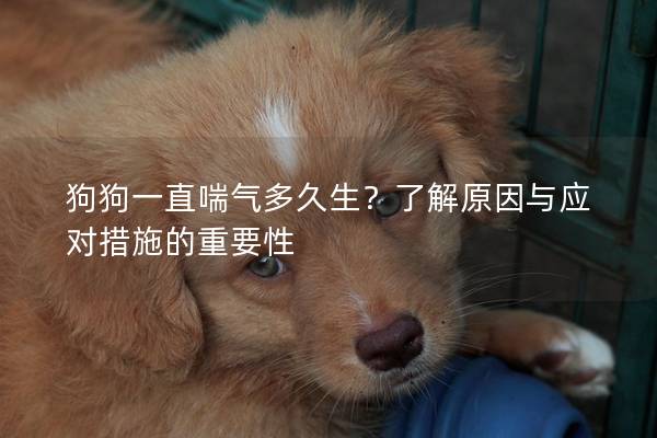狗狗一直喘氣多久生？了解原因與應對措施的重要性