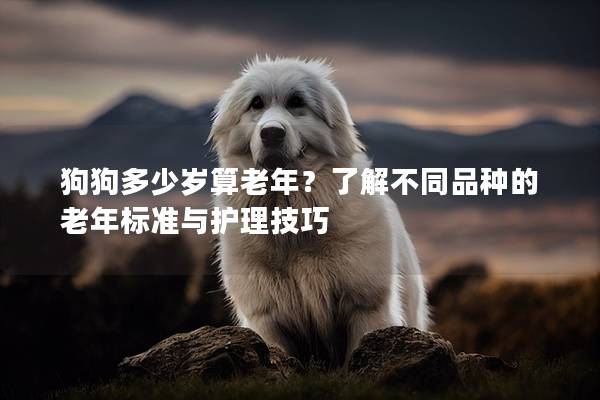 狗狗多少歲算老年？了解不同品種的老年標準與護理技巧