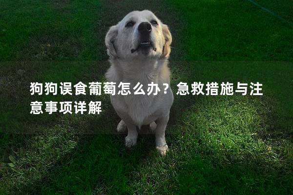 狗狗誤食葡萄怎么辦？急救措施與注意事項詳解