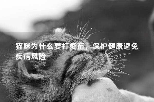 貓咪為什么要打疫苗，保護健康避免疾病風險