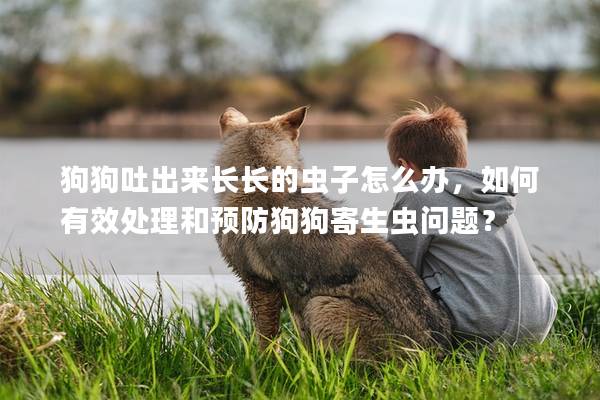 狗狗吐出來長長的蟲子怎么辦，如何有效處理和預防狗狗寄生蟲問題？