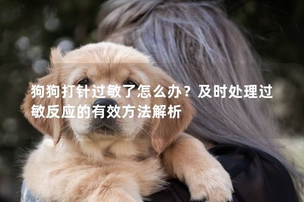 狗狗打針過敏了怎么辦？及時(shí)處理過敏反應(yīng)的有效方法解析