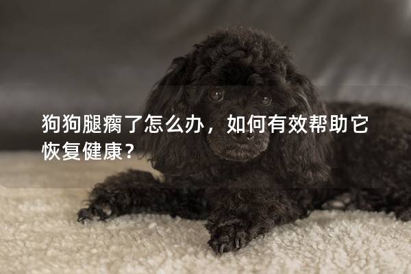 狗狗腿瘸了怎么辦，如何有效幫助它恢復健康？