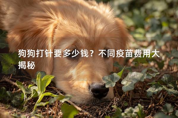 狗狗打針要多少錢？不同疫苗費用大揭秘
