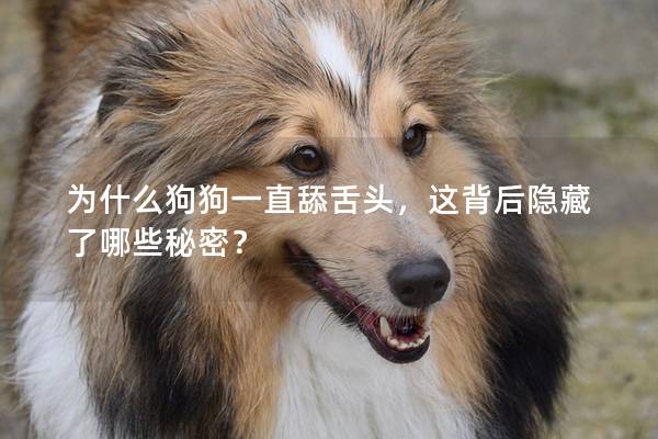 為什么狗狗一直舔舌頭，這背后隱藏了哪些秘密？