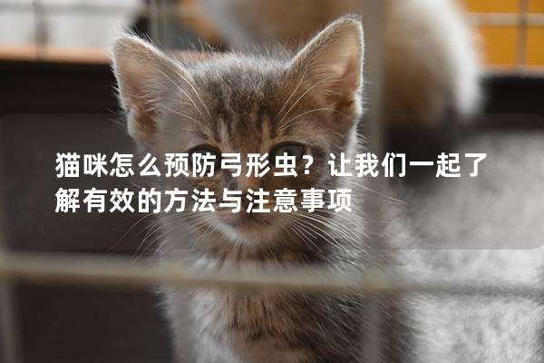 貓咪怎么預防弓形蟲？讓我們一起了解有效的方法與注意事項