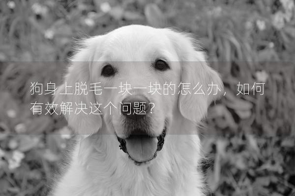 狗身上脫毛一塊一塊的怎么辦，如何有效解決這個問題？