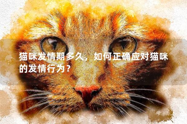 貓咪發(fā)情期多久，如何正確應(yīng)對(duì)貓咪的發(fā)情行為？