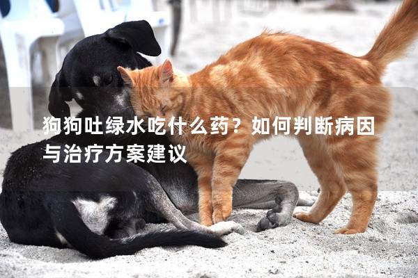 狗狗吐綠水吃什么藥？如何判斷病因與治療方案建議