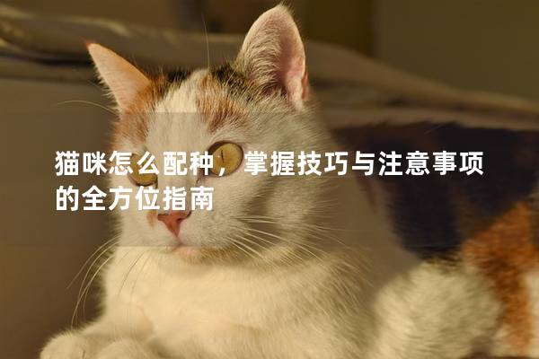 貓咪怎么配種，掌握技巧與注意事項的全方位指南