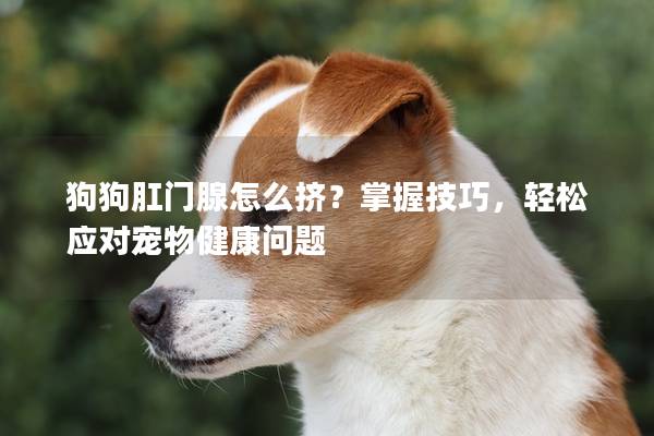 狗狗肛門腺怎么擠？掌握技巧，輕松應對寵物健康問題